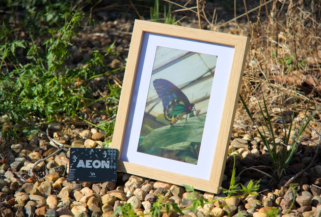 Aeon displaying a butterfly, with PCB shown